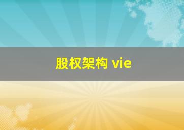 股权架构 vie